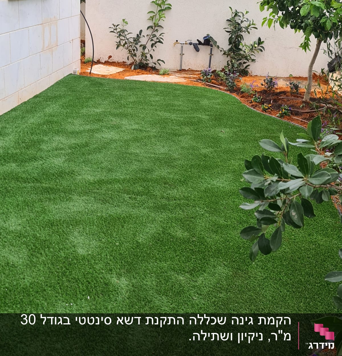 דשא ירוק, עצים ופרחים בגינה קטנה